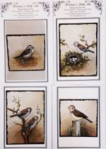 Sparrow Series